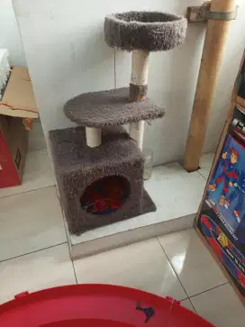 Kandang kucing dan rumah kucing