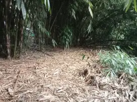 Di jual lhan tanah kebun bambu lokasi datar masuk mobil