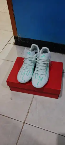Lightspeed reborn FG hijau