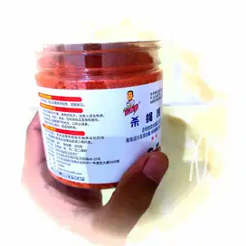 Obat Pembasmi Lalat Ampuh 100%