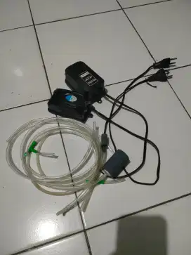 ***Banda Aquarium***