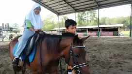 Saya lagi mencari pekerjaan sebagai supir ya