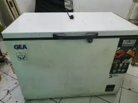 Freezer GEA 300lt