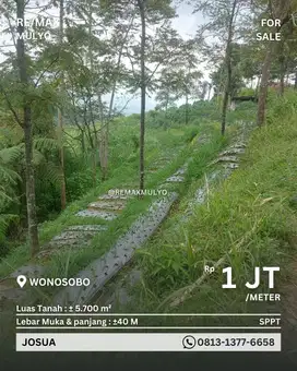 Dijual Tanah Dekat Area Wisata Cocok Untuk Villa/Penginapan