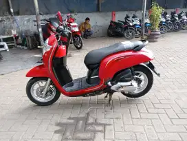 Scoopy donat 2018.. Pajak hidup