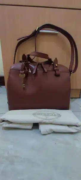 Fossil Sydney brown