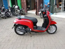 Scoopy donat 2018. Pajak hidup