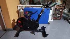 Sepeda Statis Berwyn – Elliptical Flywheel 20kg!