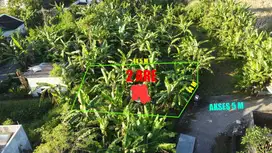 Jual Tanah 2 Are di Pandak Gede Puri ADYODYA