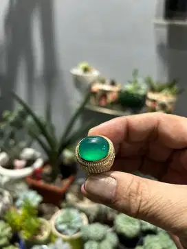 Bacan Doko Ijo kolektor item