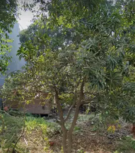 Kavling Langka Di Katamaran Indah Pik