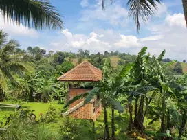 Dijual tanah darat dengan villa dan kebun kosong di Banyuwangi Cigudeg