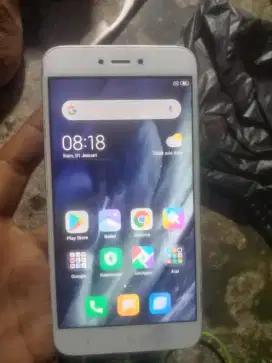 Xiaomi note 5a no minus