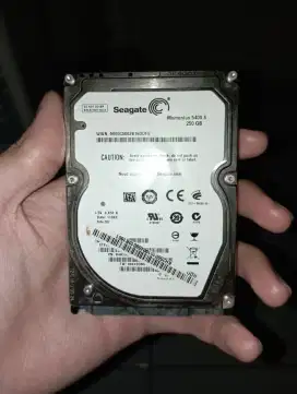 Hardisk Seagate 250GB
