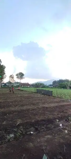 Jual Tanah Kavling Lembang