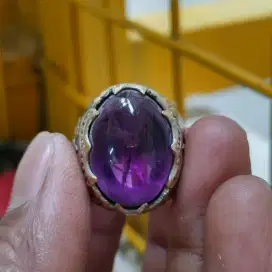 Kecubung kalimantan