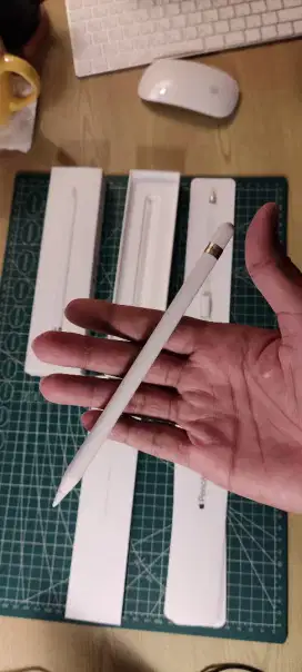 Apple Pencil Gen 1 Mulus Fullset