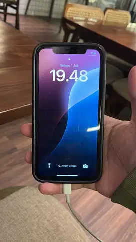 iPhone Xr Ibox 64