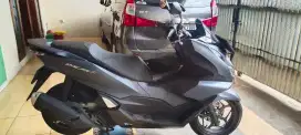Pcx biru doff 2023