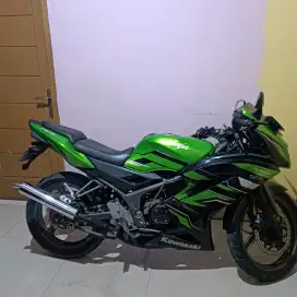 Ninja RR 2015 standar