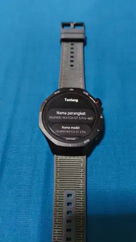 Huawei GT 5 Pro