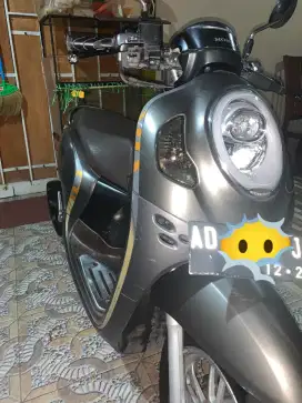 Scoopy mattebrown 2020