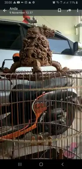 Sangkar Burung Murai Batu Ukiran Istimewa