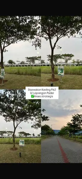 Disewakan kavling komersil PIK2 bisa untuk lapangan padel