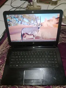 Jual Laptop Hp 14-g102AU, Amd A4 - 5000 4/500