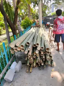 Jual bambu dan kayu kaso