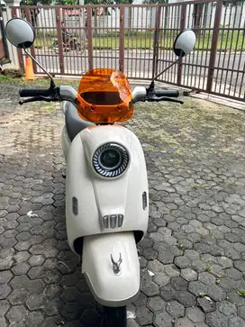SEPEDA LISTRIK U WINFLY T65L