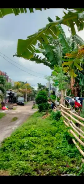 Di kontrakan tanah jalan Tukad Badung , Denpasar, Bali