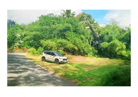 90 Meterpersegi, Dijual Tanah Area Pemda Sleman JL.Magelang
