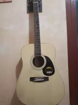GITAR CORT Akustik