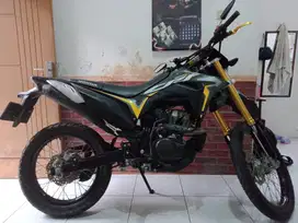 CRF 150 2021 Army Green