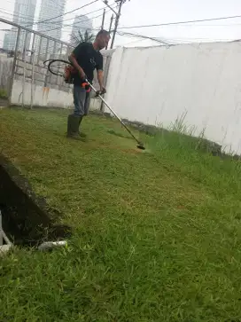 Tukang potong rumput