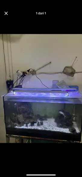 Aquarium atas & bawah (air asin)