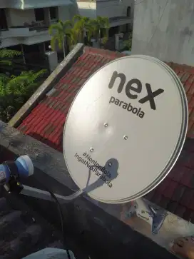 Antena Nex parabola