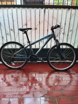 Sepeda Anak | Polygon Relic 24 Warna Abu Biru