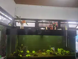 AQUARIUM BESAR DAN SET RAK