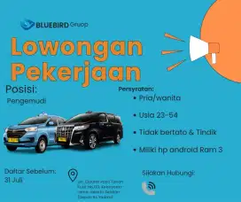 Driver profesional