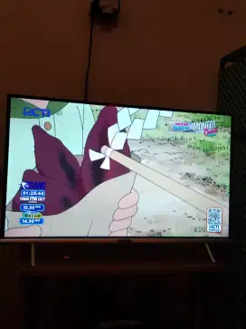 Tv coocoa 32 inc