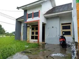 Jual Cepat Rumah Palem Pertiwi JE-27