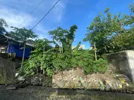 DIJUAL TANAH WONOREJO SELATAN RUNGKUT SURABAYA RON.A1987
