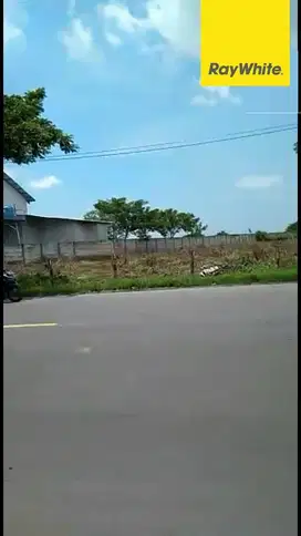 Dijual Tanah SHM Cocok Untuk Industri di Jalan Raya Tuban Widang