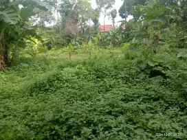 Tanah luas 2.054 M2 Serba Guna, dijual murah