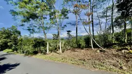 Dijual Murah Tanah 480 m2 Pinggir Jalan di Bojong Purwakarta
