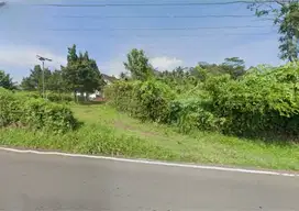 Tanah zona industri kontur datar Lokasi Temanggung