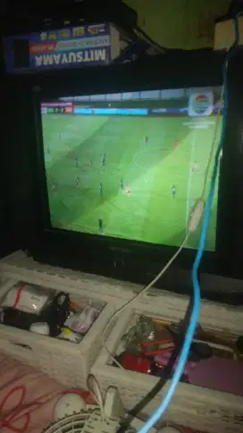 Polytron 21inch