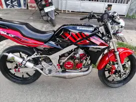 Ninja SD asli zebra